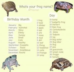 what's ur frog name Meme Template