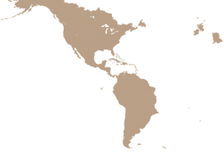 polotno 56 Meme Template