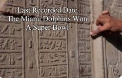 Miami Dolphins Meme Template