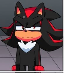 shadow disgusted Meme Template