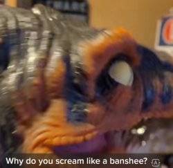Why do you scream like a banshee? Meme Template