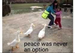 Peace was never an option multiple Meme Template