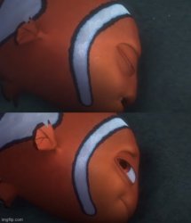  nemo Meme Templates Imgflip
