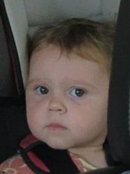 Jud Toddler Meme Template