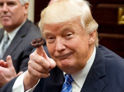 trump Meme Template