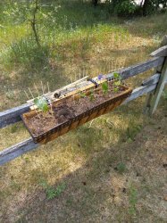 Window Box Garden Meme Template