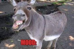 Amulewithrabies announcement template Meme Template