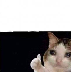 Crying Cat Meme Template