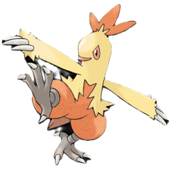 Combusken Meme Template