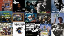 The List of Snoop Dogg Albums in Order of Release - Albums in or Meme Template