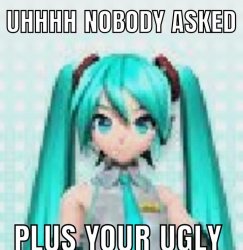 Nobody asked plus you're ugly Meme Template