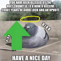 Blessed by the holy chunky B I R B Meme Template