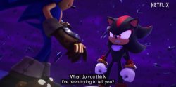 shadow what do you think ive been trying to tell you Meme Template