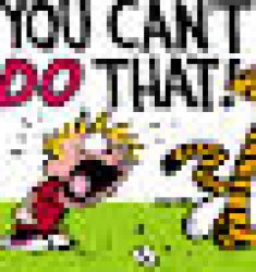 Calvin And Hobbes "You can't DO THAT!" Meme Template