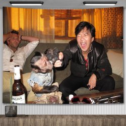 mr chow Meme Template