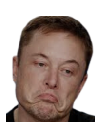 Crying Elon Meme Template