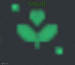 weed Meme Template