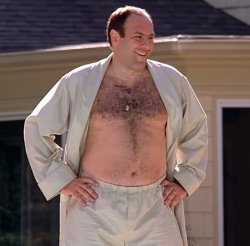 Tony Soprano shirtless Meme Template