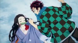 tanjiro and nezuko passed out Meme Template