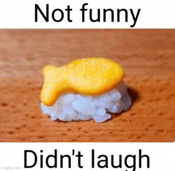 Not funny Didn’t laugh Meme Template