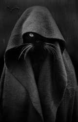 Cat Sith Lord Meme Template