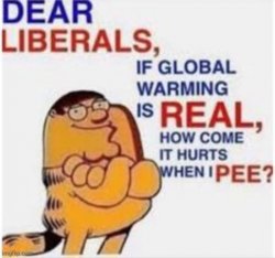 Dear liberals Meme Template