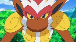 infernape seeing Meme Template