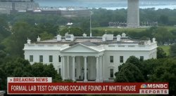 White House Cocaine Meme Template
