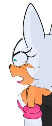 rouge stare Meme Template