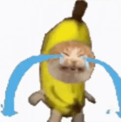 Banana cat Meme Template
