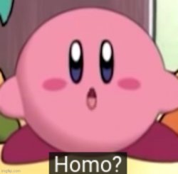 kirby homo Meme Template