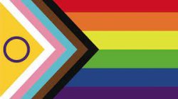 pride flag Meme Template
