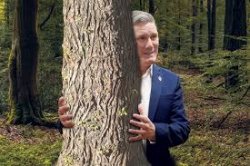 Starmer tree Meme Template