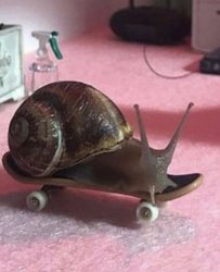 skater snail Meme Template