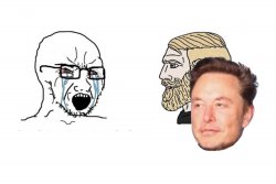 elon chad Meme Template