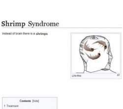 shrimp syndrome Meme Template