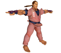 t pose dan hibiki Meme Template