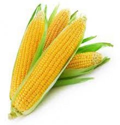 Corn Meme Template