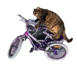 Blair on her bike Meme Template