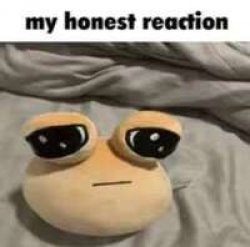 my honest reaction Meme Template