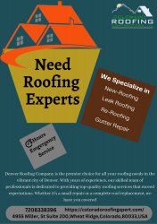 Need Roofing Experts Meme Template