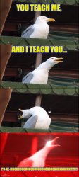 I WANNA BE THE VERY BEST- Meme Template