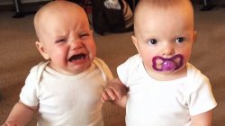 two babies Meme Template