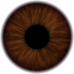 Brown iris Meme Template