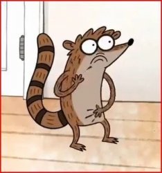 Rigby | Regular Show Wiki | Fandom Meme Template