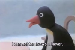 I can not forgive you, never. (Pingu's dad) Meme Template