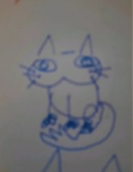 Cat Meme Template