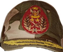Rsf hat Meme Template