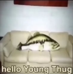 Hello Young Thug Meme Template