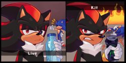 shadow live kill Meme Template